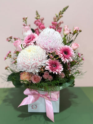 Pink Pom Poms