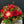 Load image into Gallery viewer, Festive Xmas Arrangement
